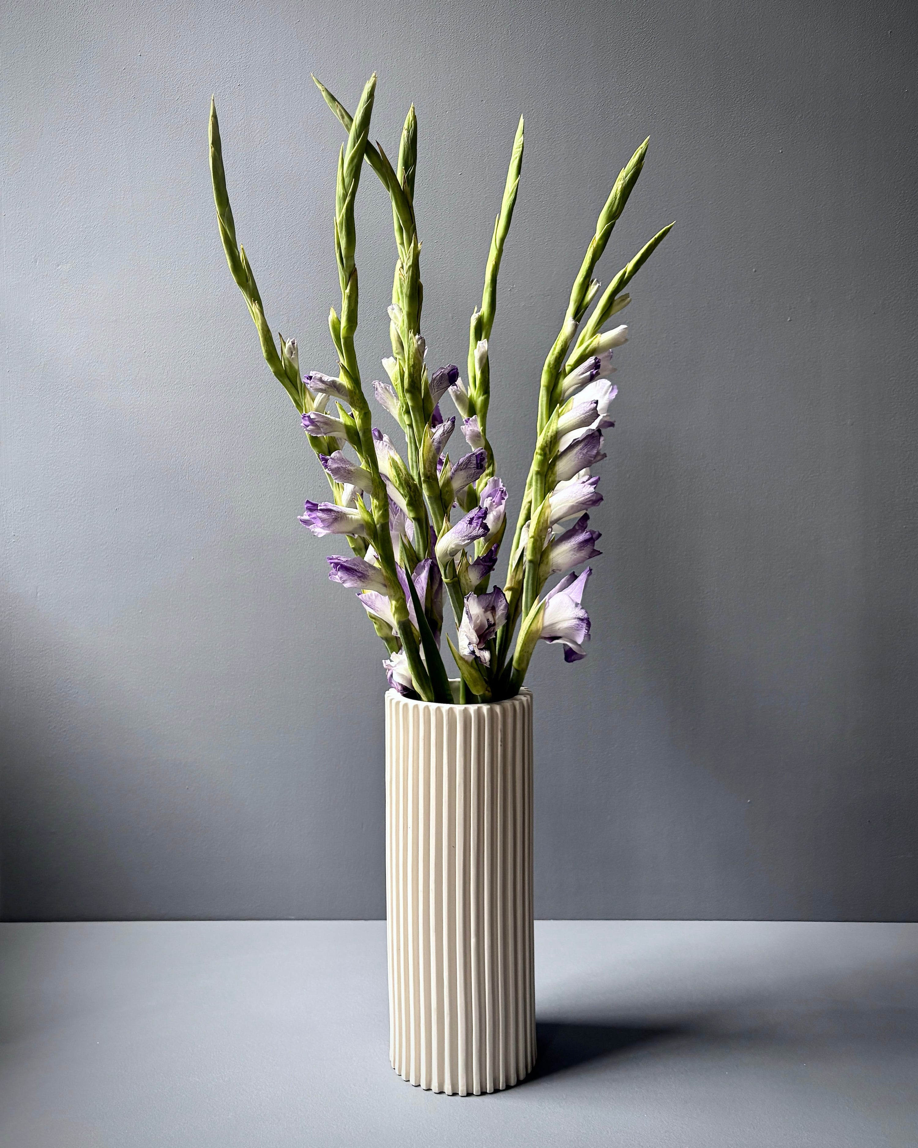 Estruso - Simple Cylinder