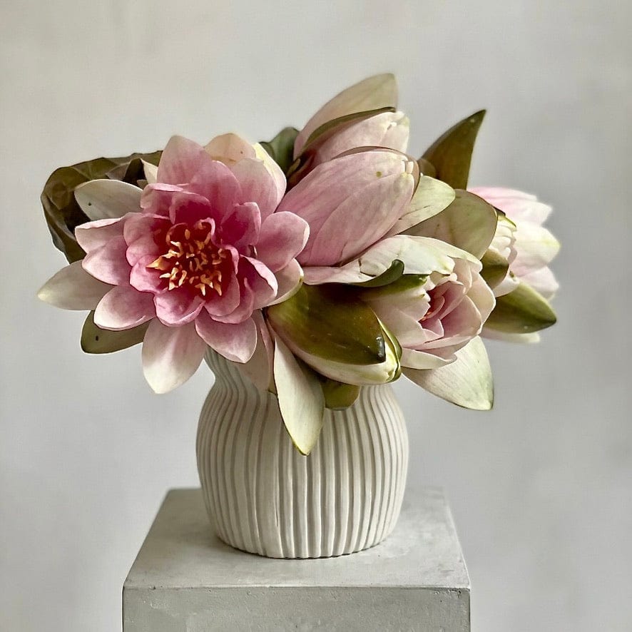 Round Curvy Vase Collection